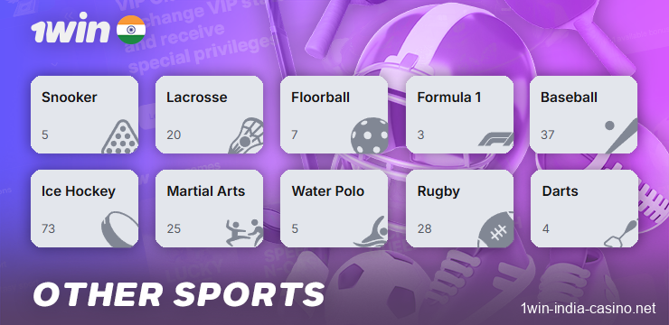 Other sports available for betting at 1win